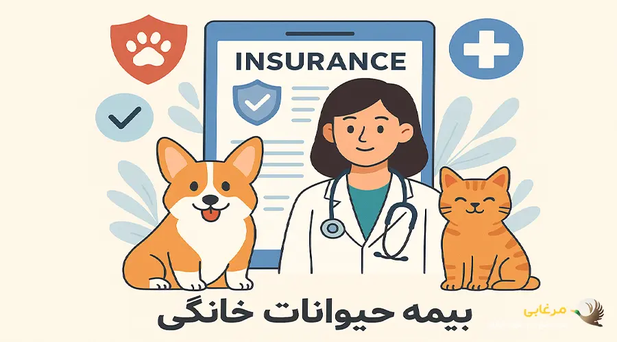نکات مهم بیمه حیوانات خانگی