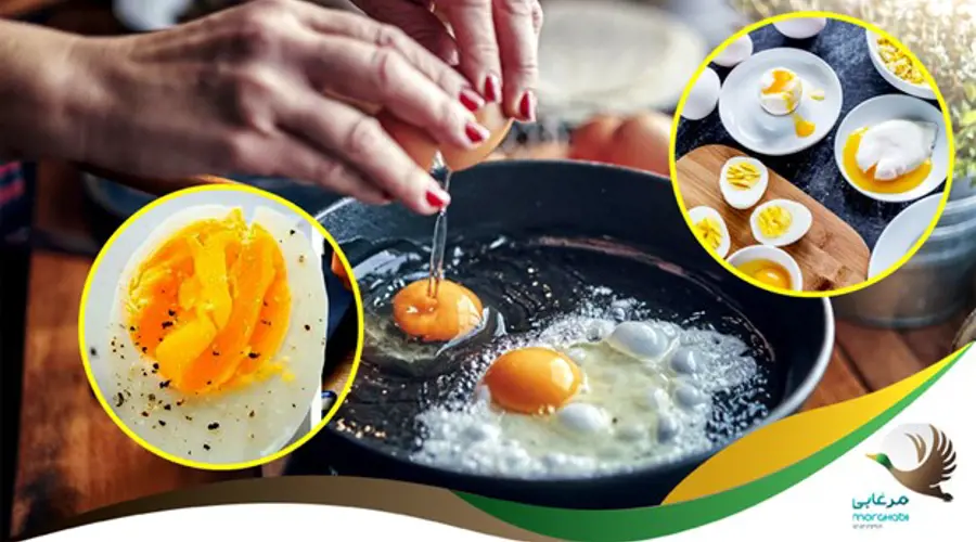 آیا مصرف زرده تخم مرغ و کلسترول موجود در آن مضر است؟
