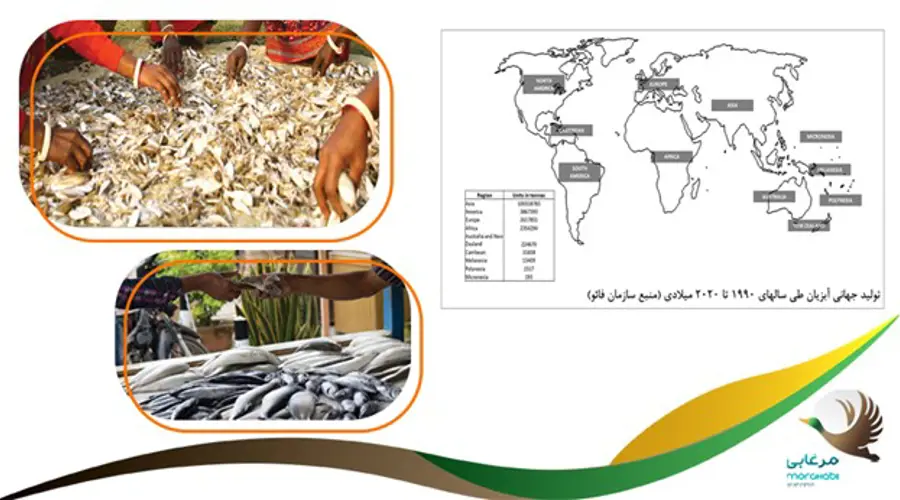 فواید مصرف غذاهای دریایی و آبزیان برای سلامتی جامعه انسانی