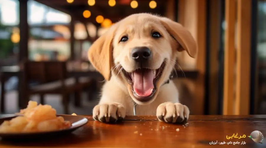 گلابی، بهترین میان وعده برای سگ