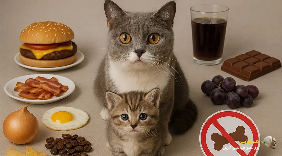 غذاهای ممنوع برای بعد از زایمان گربه