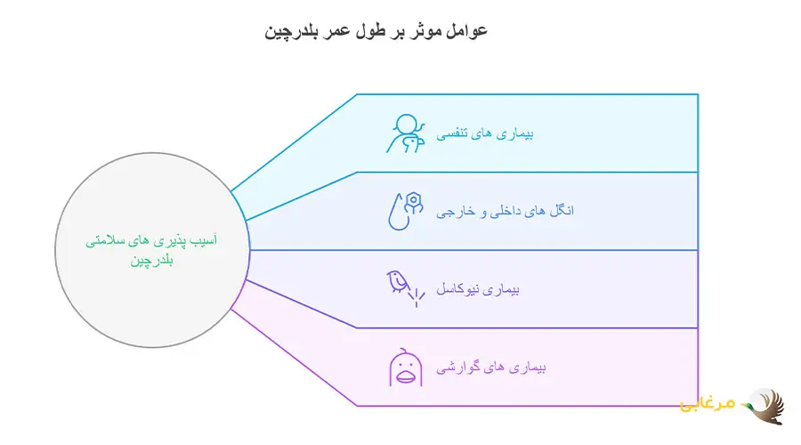 بیماری های موثر بر طول عمر بلدرچین