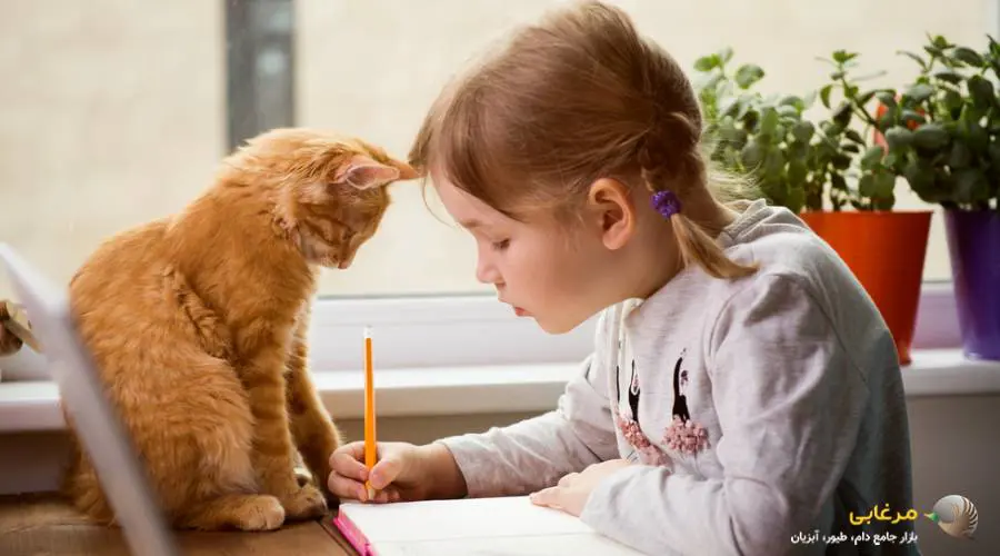 فواید نگهداری از گربه ها برای کودکان