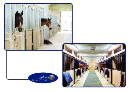 شرایط اولیه و اساسی نگهداری اسب ها در مراکز نگهداری اسب (پانسیون اسب) و شرحی از انواع این مراکز