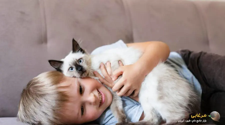 گربه های خطرناک برای کودکان