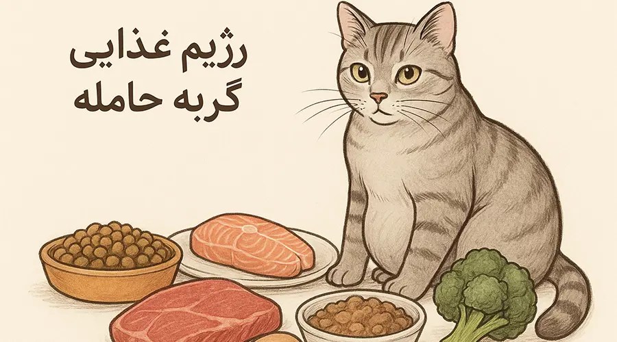 نیازهای تغذیه گربه حامله