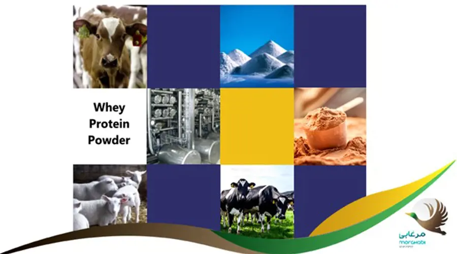 8 کاربرد مهم و اصلی آب پنیر (Whey) و اهمیت آن در صنایع مختلف