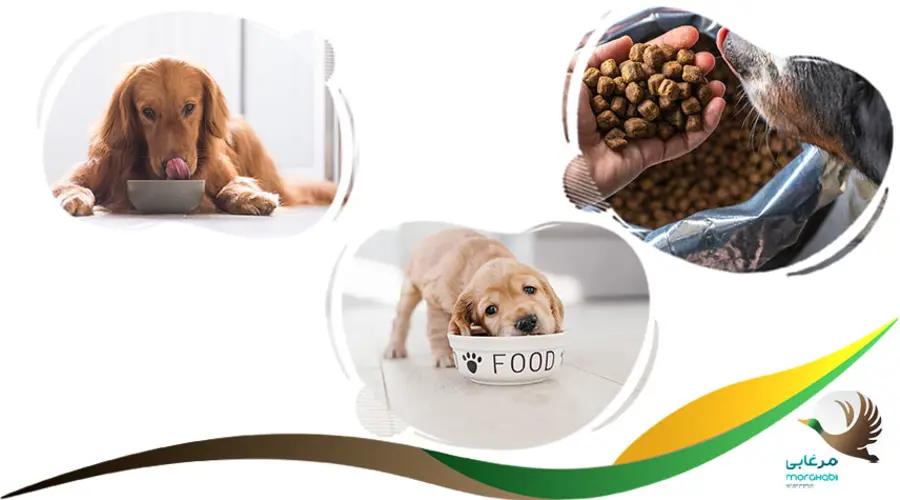 غذای سگ مونلو