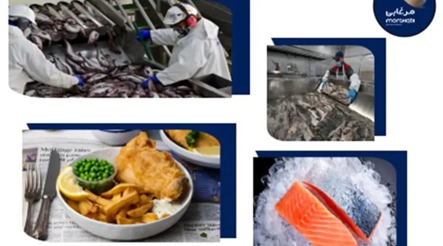 نکاتی مهم پیرامون اهمیت فراوری و بسته بندی ماهی و غذاهای دریایی، روش ها و اقلام مورداستفاده در آن