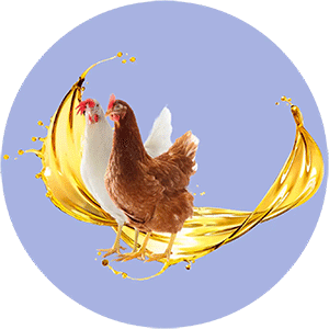 روغن و پودر چربی