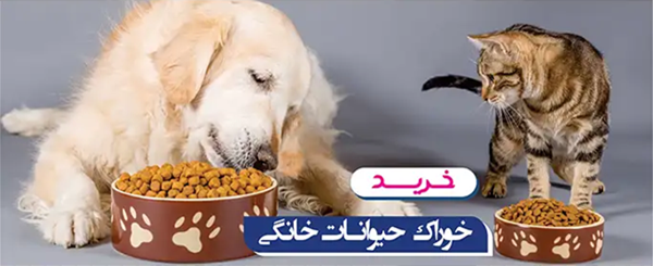 فروشگاه غذا