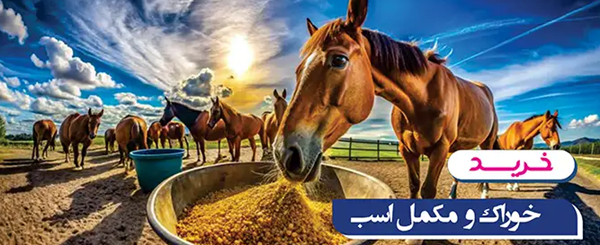 فروشگاه اسب