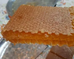 عسل گون