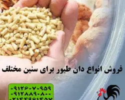 فروش دان جوجه گوشتی _ با کیفیت عالی