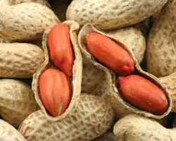 پوسته بادام زمینی
