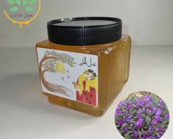 عسل کتیرا طبیعی