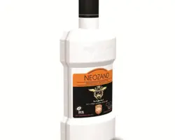 نئوزند-Neozand