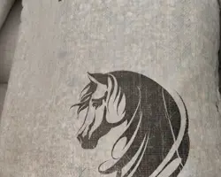 جو و ذرت فلیک و میکرونیزه
