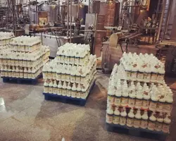 شیر شتر سنتی آسایش