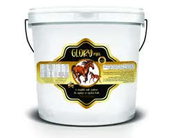 شیر خشک کره اسب گلوری (10 کیلویی)