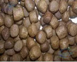 خوراک سیلور ماهی کپور( پایانی)
