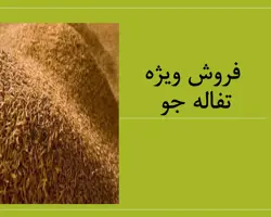 تفاله جو 