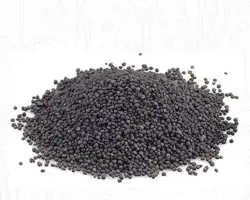 خاک آکواریوم گرینر ایرانی