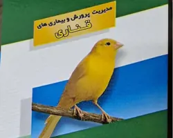 کتاب مدیریت پرورش و بیماری های قناری