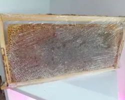 عسل با موم  نیمه طبیعی