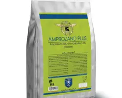 آمپروزند پلاس – Amprozand Plus