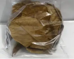 برگ کاتاپا(گاروم زنگی) پک 20 عددی