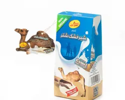 پودر شیر شتر آسایش