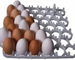 شانه 42 عددی تخم مرغ 