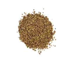 شاه دانه ریز 