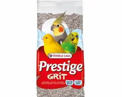 شن و ماسه گریت ورسلاگا