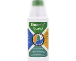     	  انرامین