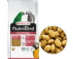 پلت ورسلاگا p19 tropical یک کیلویی طوطی سانان 