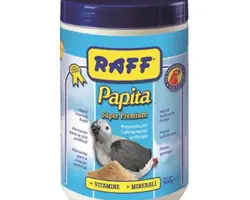 سرلاک راف ایتالیا Raff PAPITA    طوطی سانان 3 کیلویی 