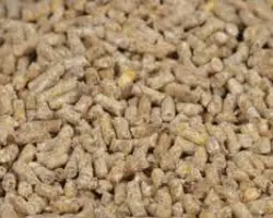 خوراک استارتر دام