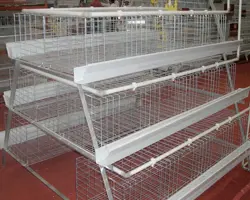 قفس مرغ تخم گذار(کارکرده)