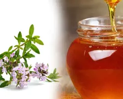 عسل آویشن طبیعی