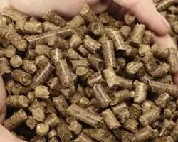 تفاله چغندر و نیشکر افضلی