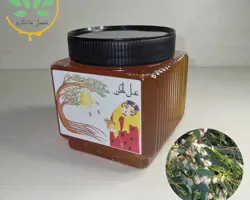 عسل اکالیپتوس طبیعی