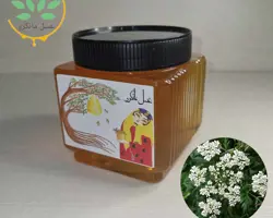 عسل جعفری طبیعی