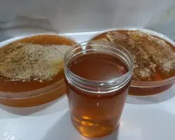 عسل