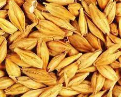 جو روس(انباری)