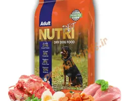  غذای خشک سگ بالغ 10 کیلویی