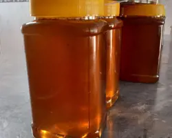 عسل گون نیمه طبیعی