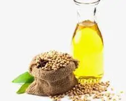 روغن سویا