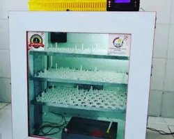 دستگاه جوجه کشی 42 عددی